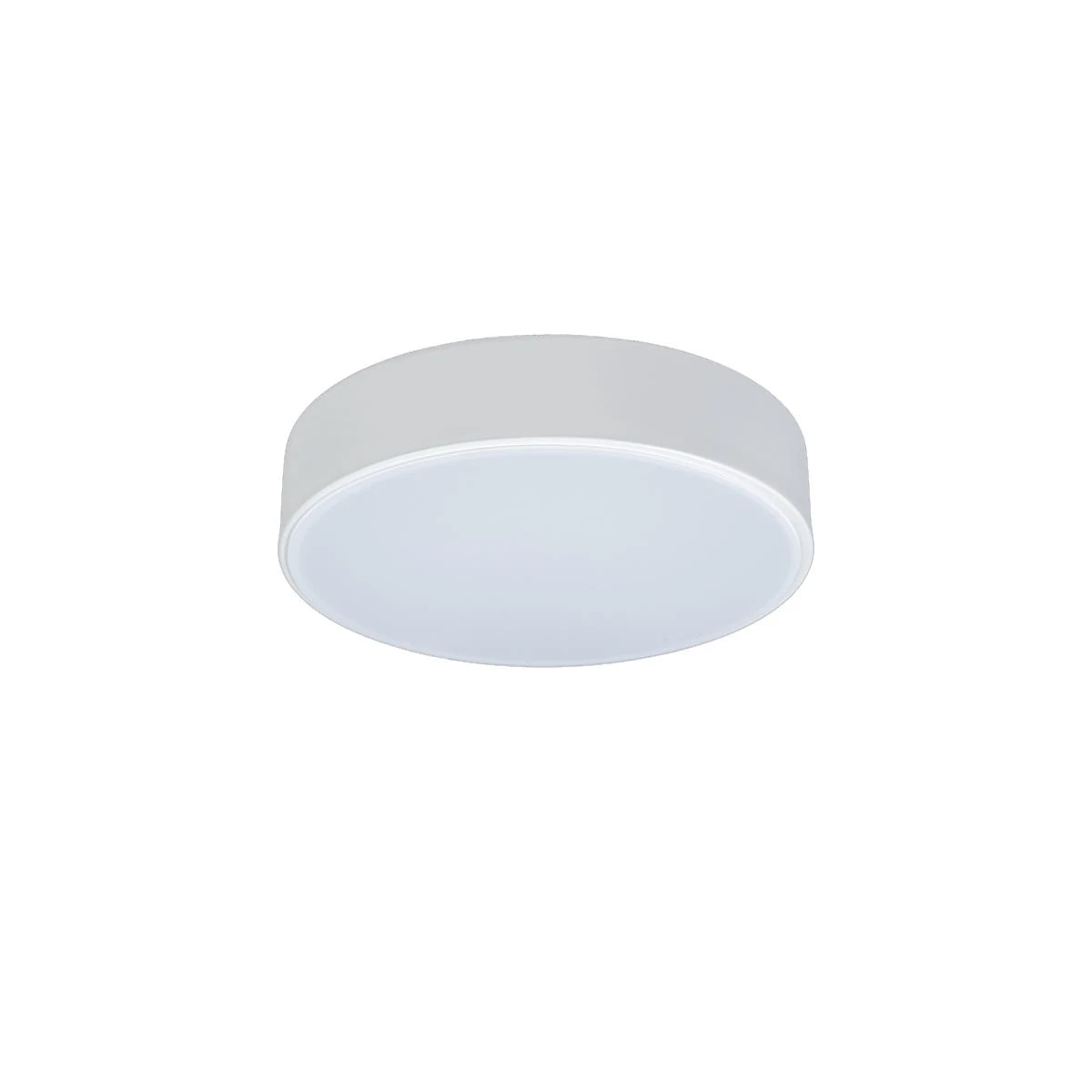 10002/12 White Потолочный светильник LOFT IT Axel