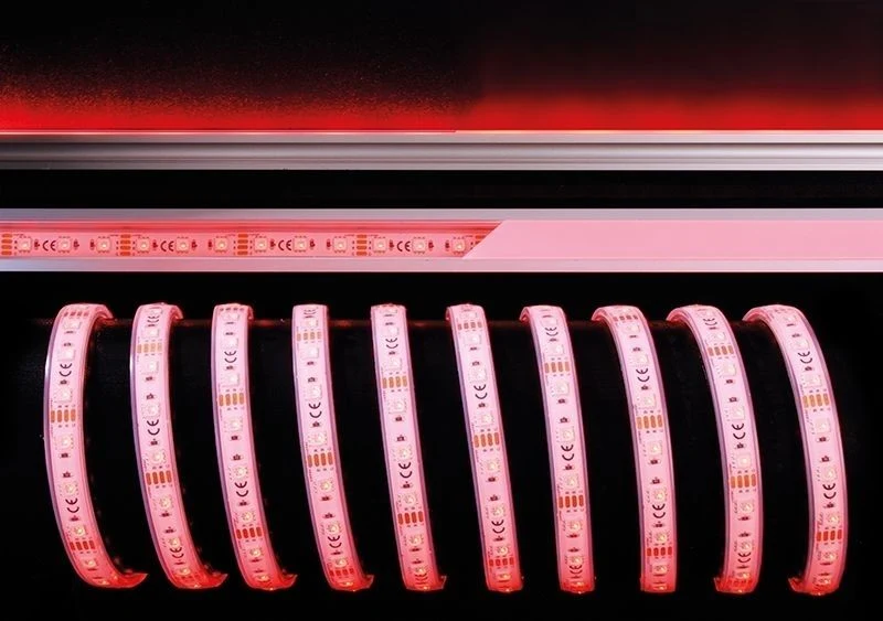 LED лента Deko-Light SMD5050 840256