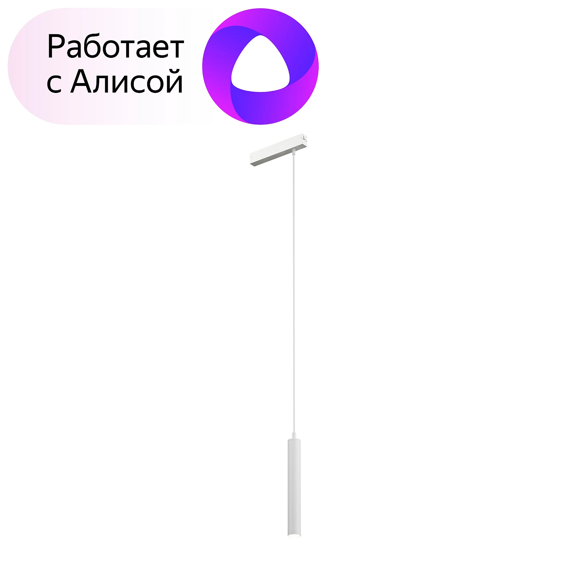 Трековый светильник Denkirs DK8008-WH