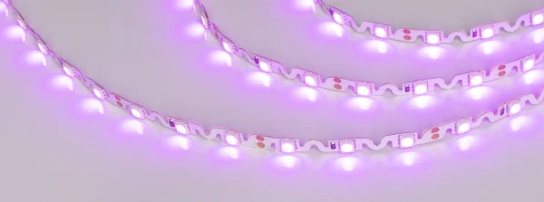 LED лента Arlight RZ волна 018218