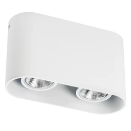 Накладной светильник Lightstar Rullo 214866