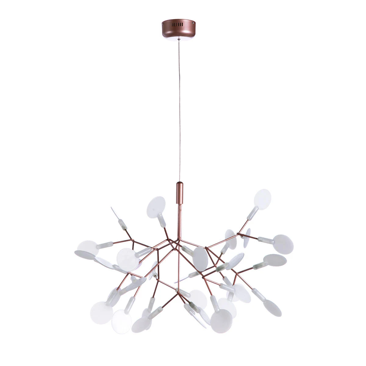 Подвесная люстра Loft It Heracleum 9022-27