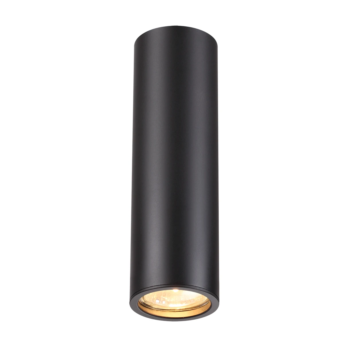 Накладной светильник Odeon Light Vincere 3830/1C