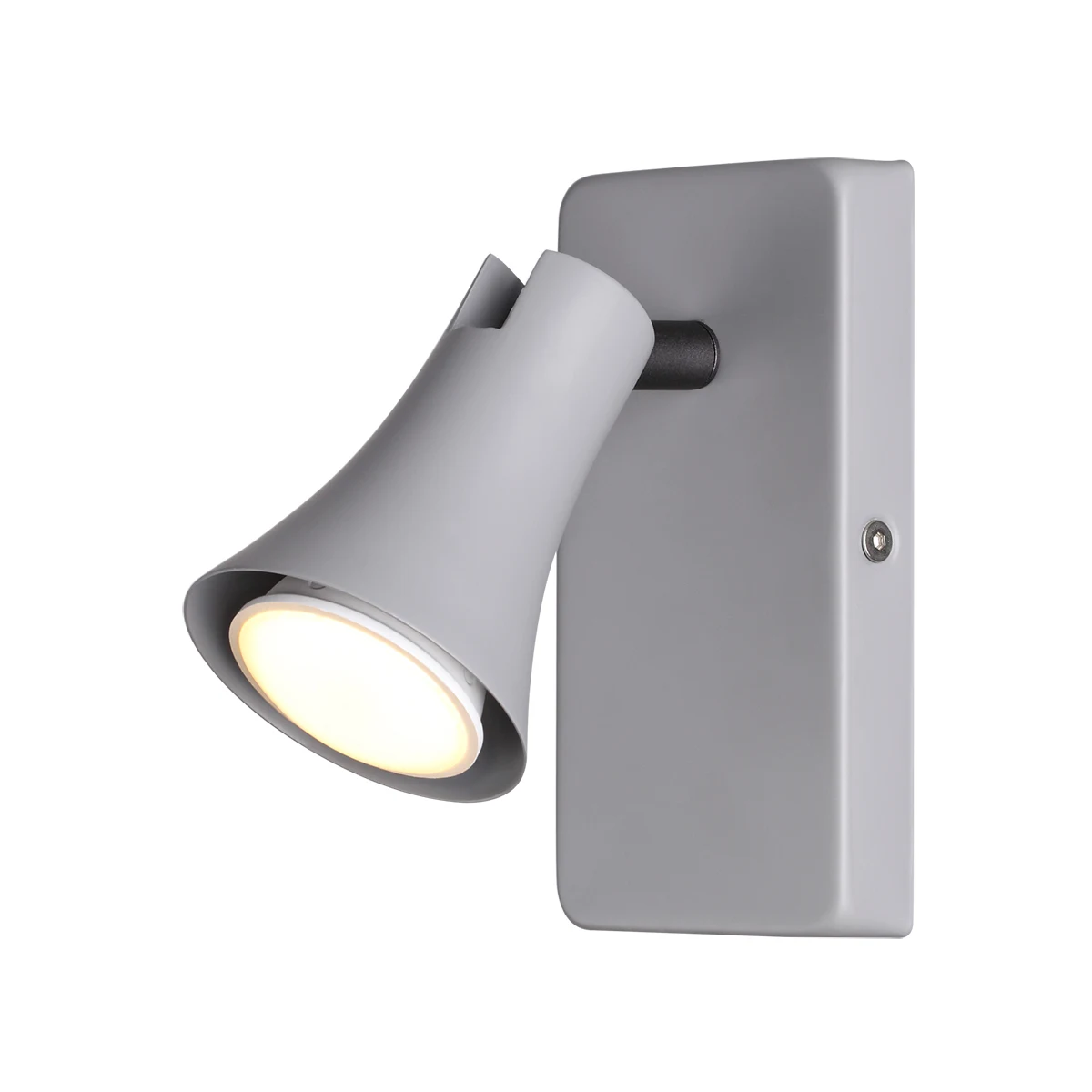 Светильник спот Odeon Light Reanna 3825/1W