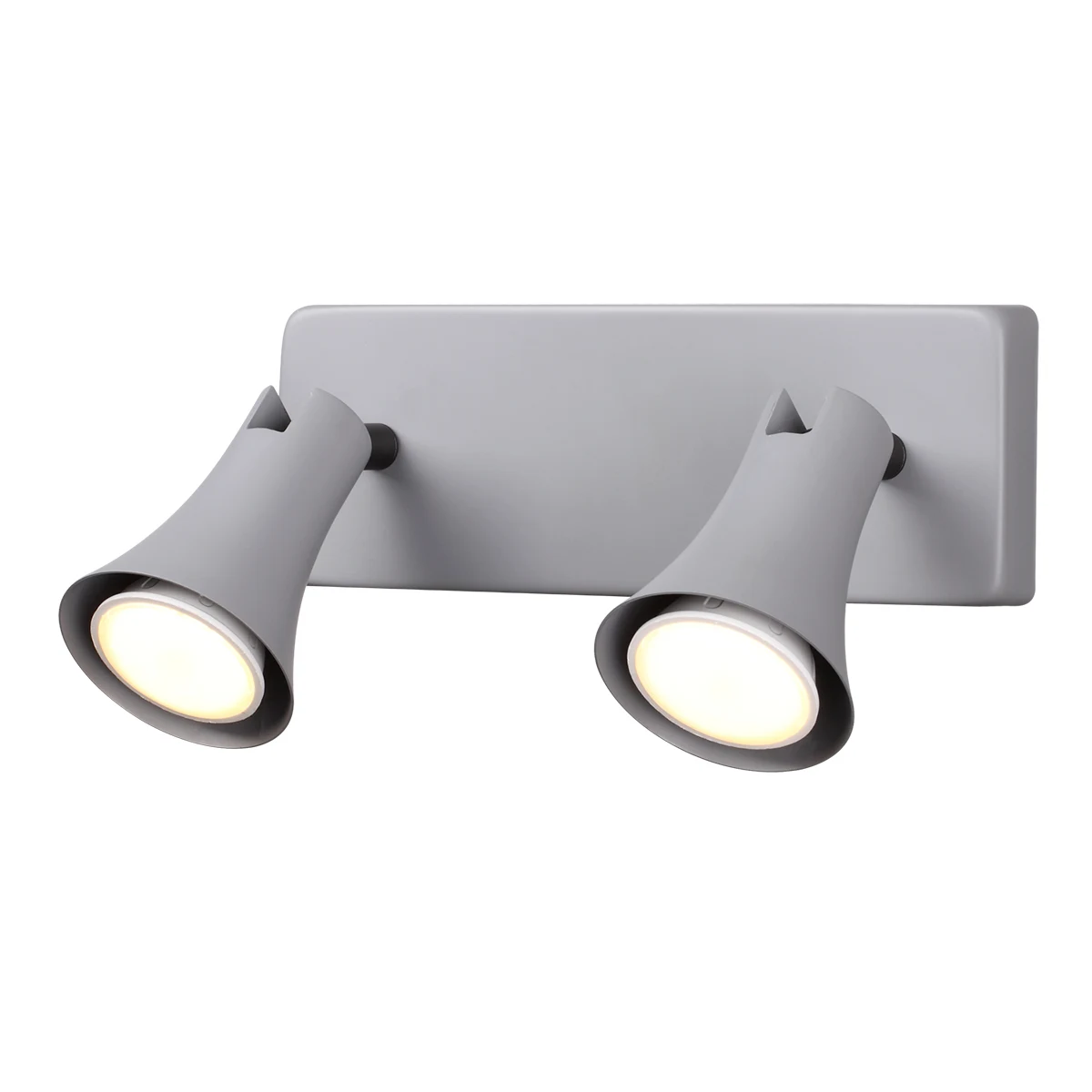 Светильник спот Odeon Light Reanna 3825/2W