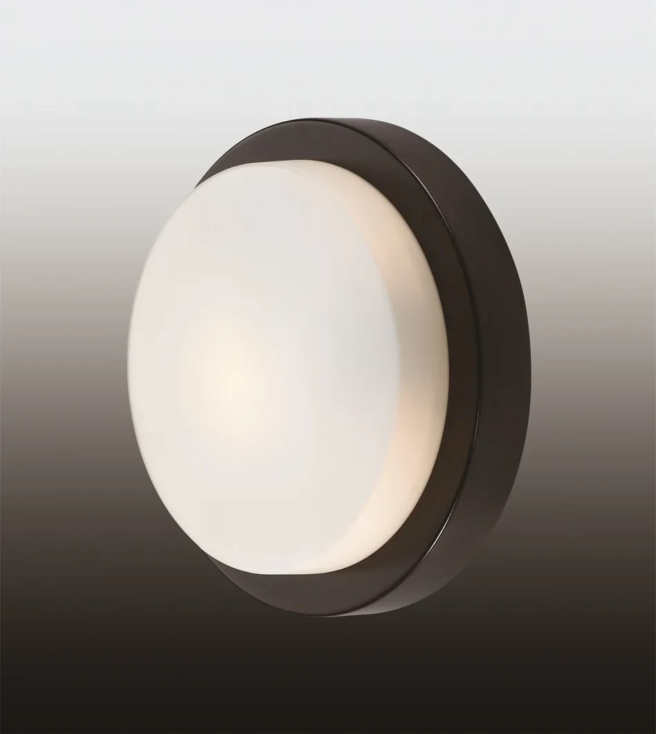 Настенно потолочный светильник Odeon Light Holger 2744/1C
