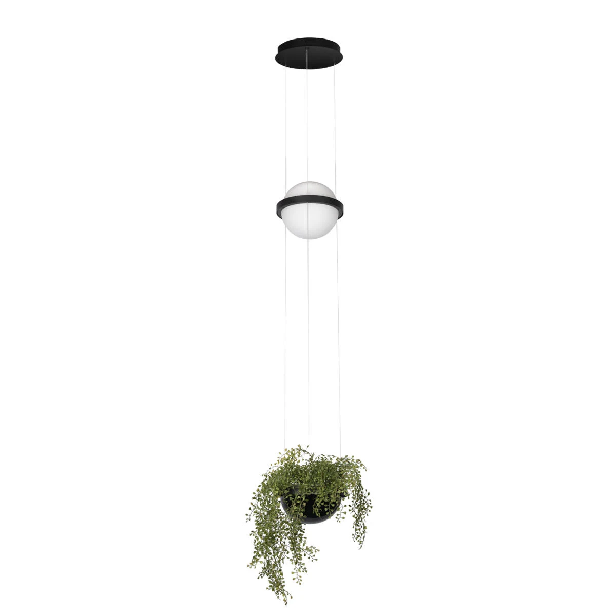 10121/B Подвесной светильник LOFT IT Jardin