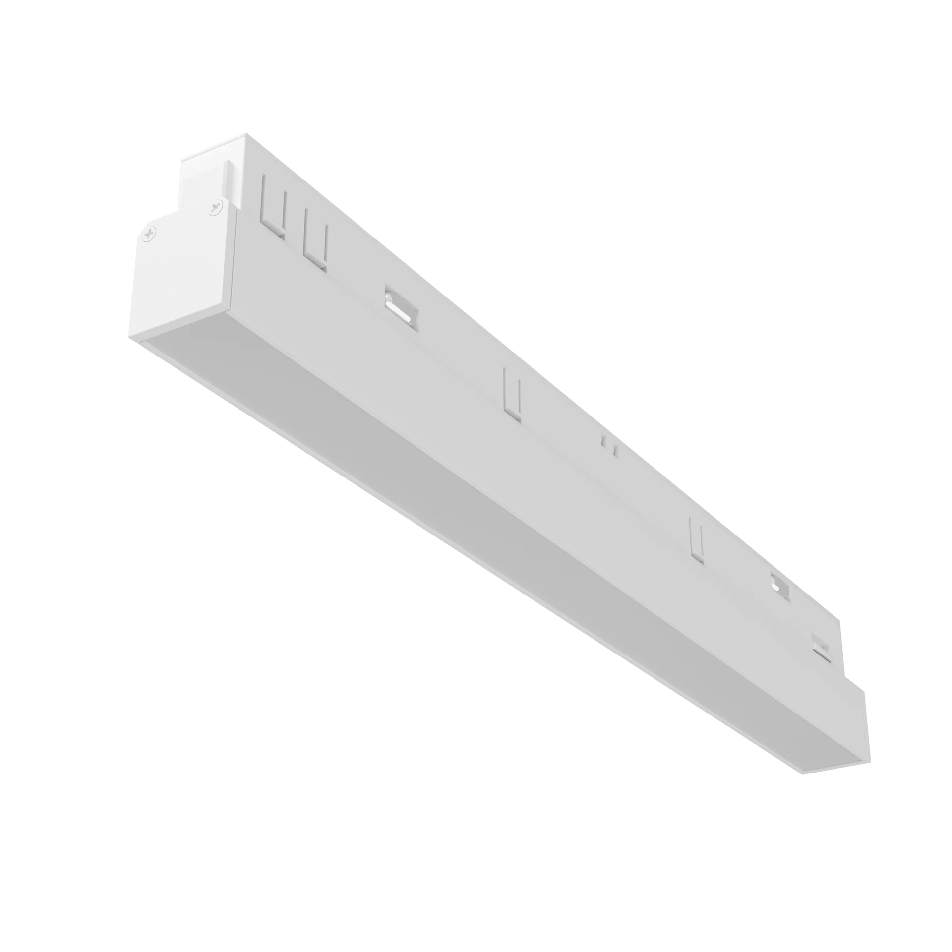 Трековый светильник Maytoni Basis Exility TR030-2-12W4K-W