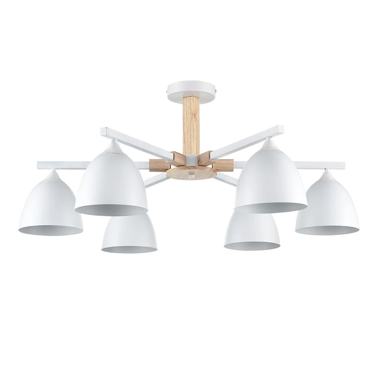 Потолочная люстра Lumion Colange 8095/6C