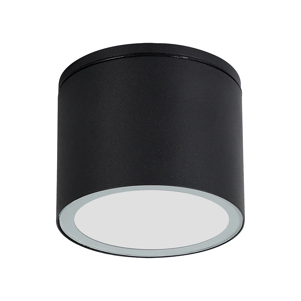 Уличный потолочный светильник Arte Lamp Piautos A1913PF-1BK