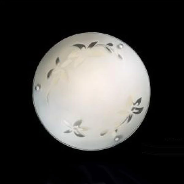 Настенно потолочный светильник Sonex BALI 1214