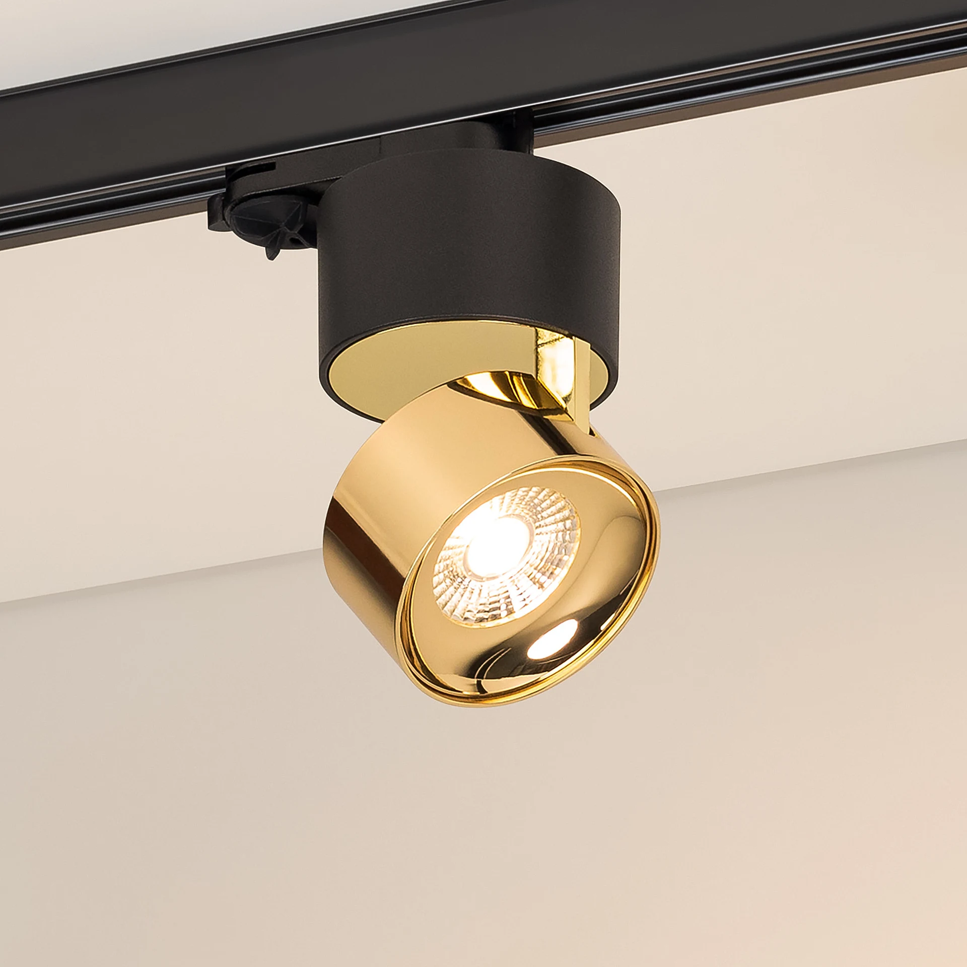 Трековый светильник Arlight Plurio 038121