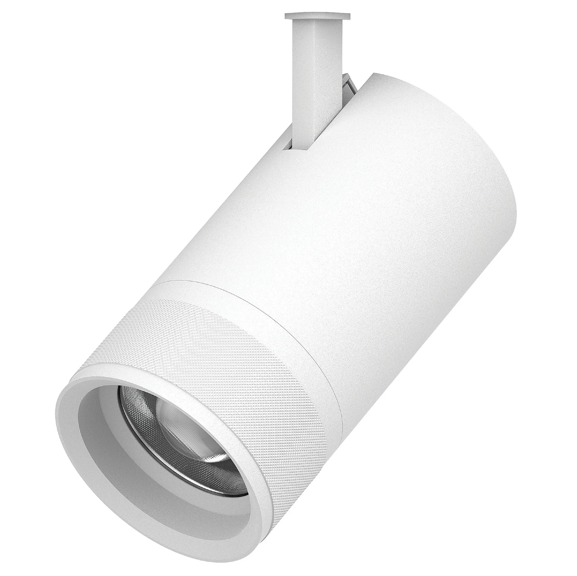 Светильник профессиональный тушка BARRA/QUATTRO Lightstar Canno Pro 304406