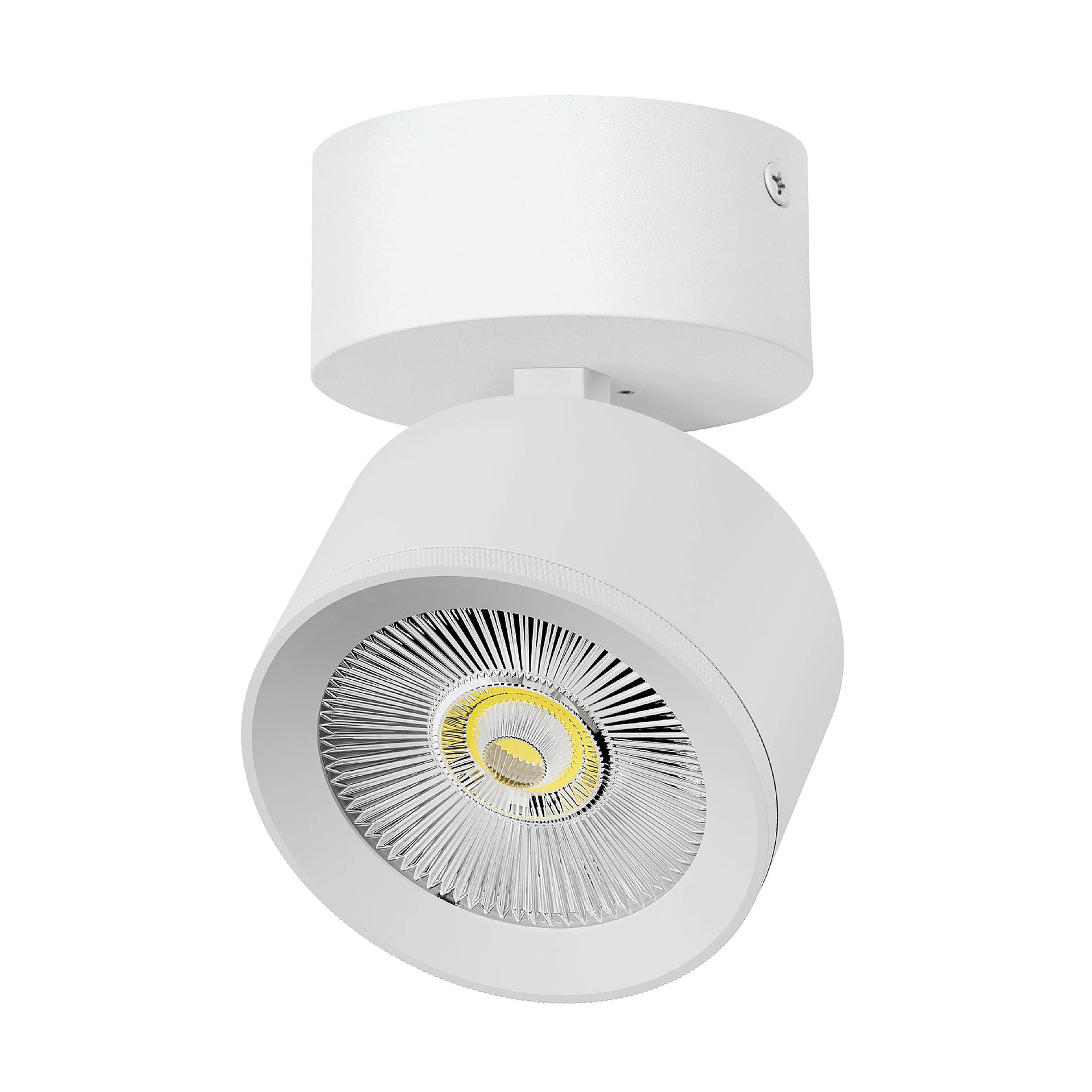 Светильник спот Lightstar Alta Pro A5536SO