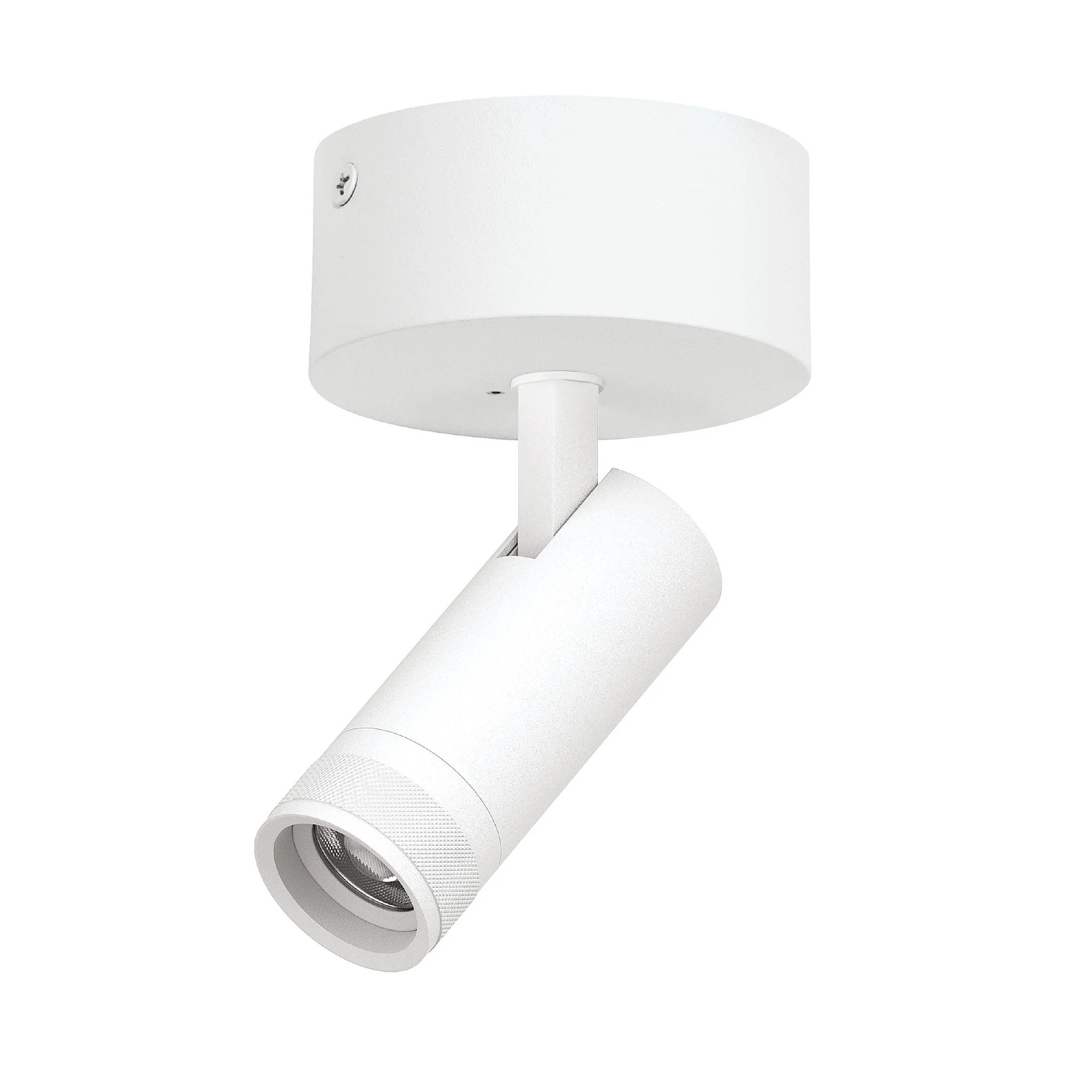 Светильник спот Lightstar Canno Pro C4126SO