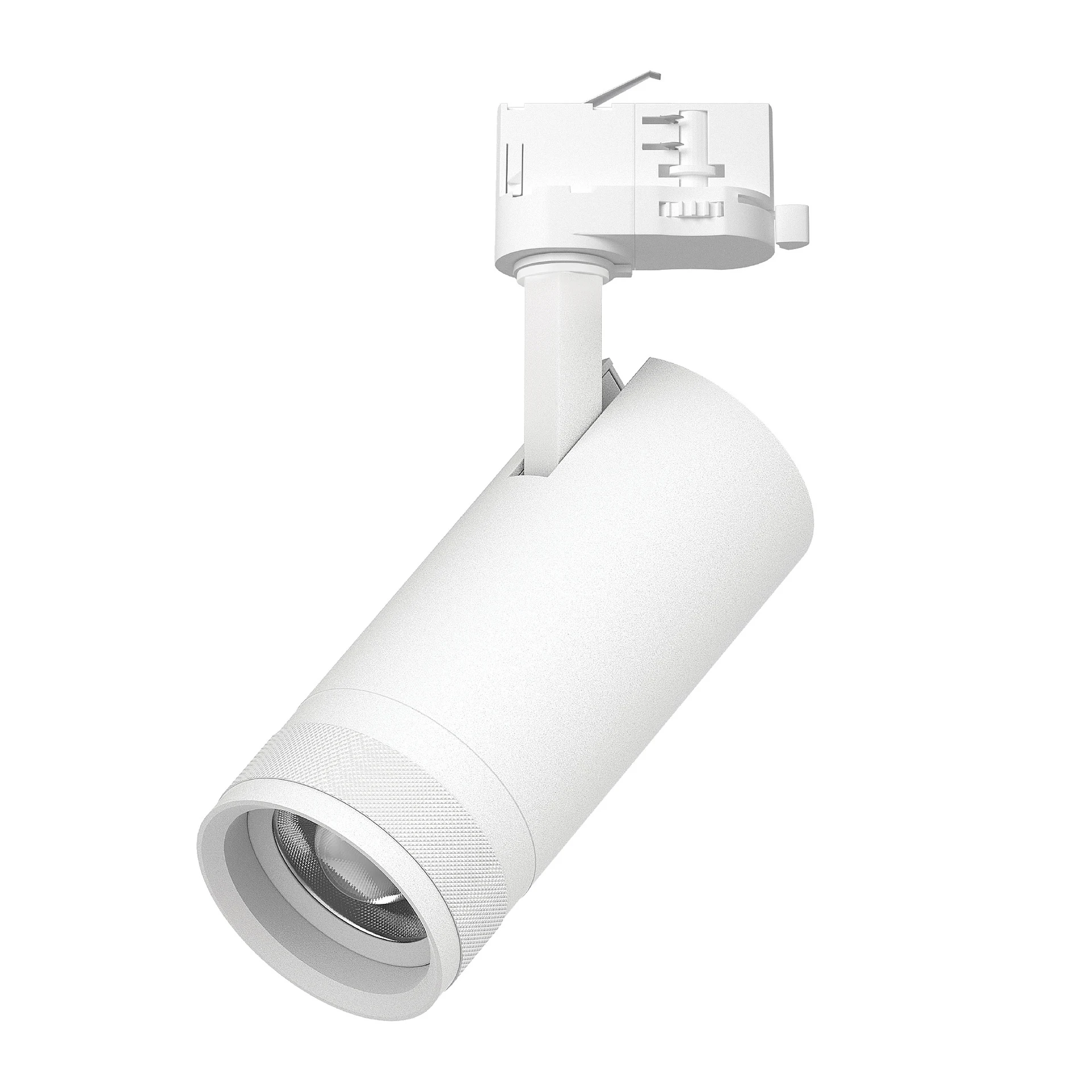 Трековый светильник Lightstar Canno Pro C4206QT