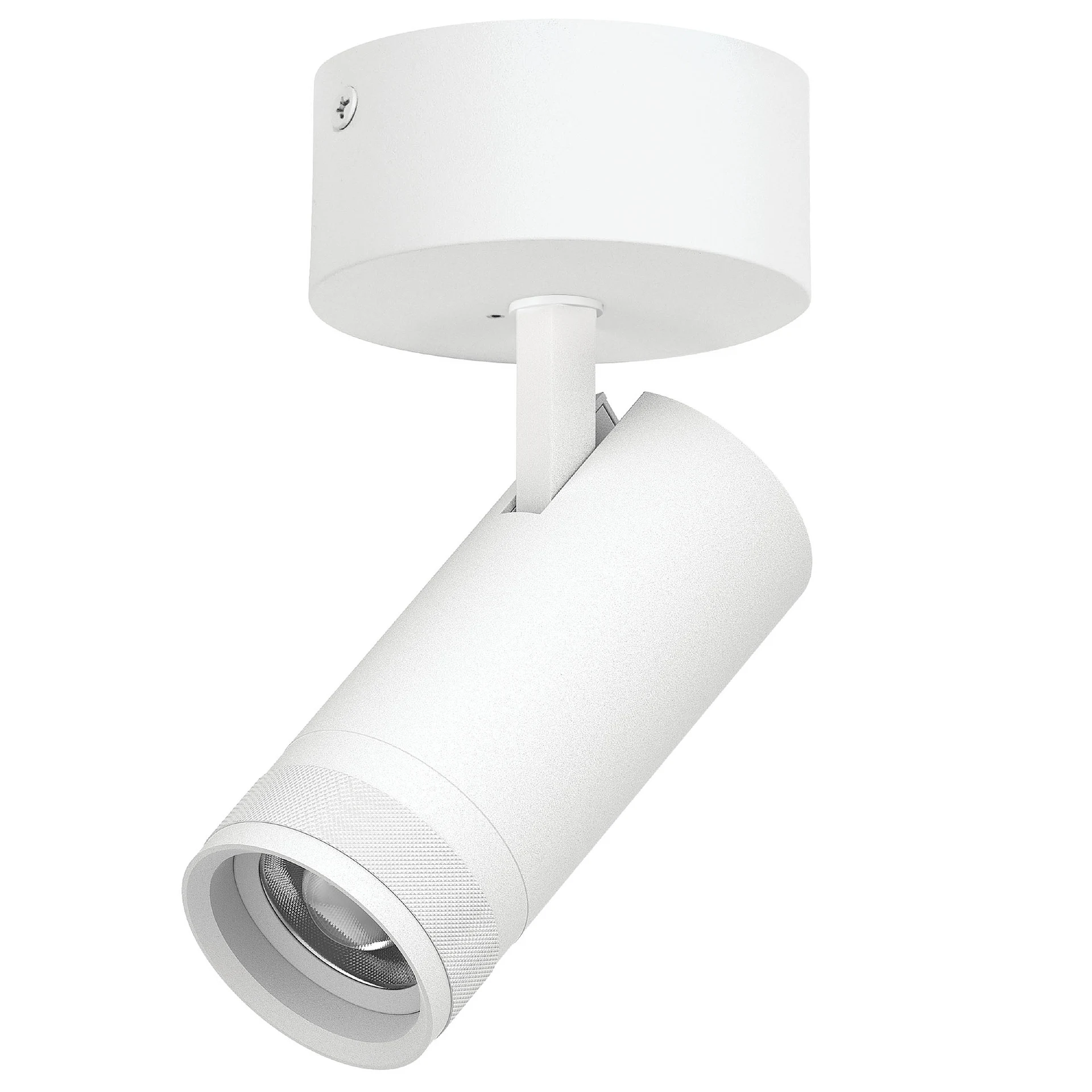 Светильник спот Lightstar Canno Pro C4206SO