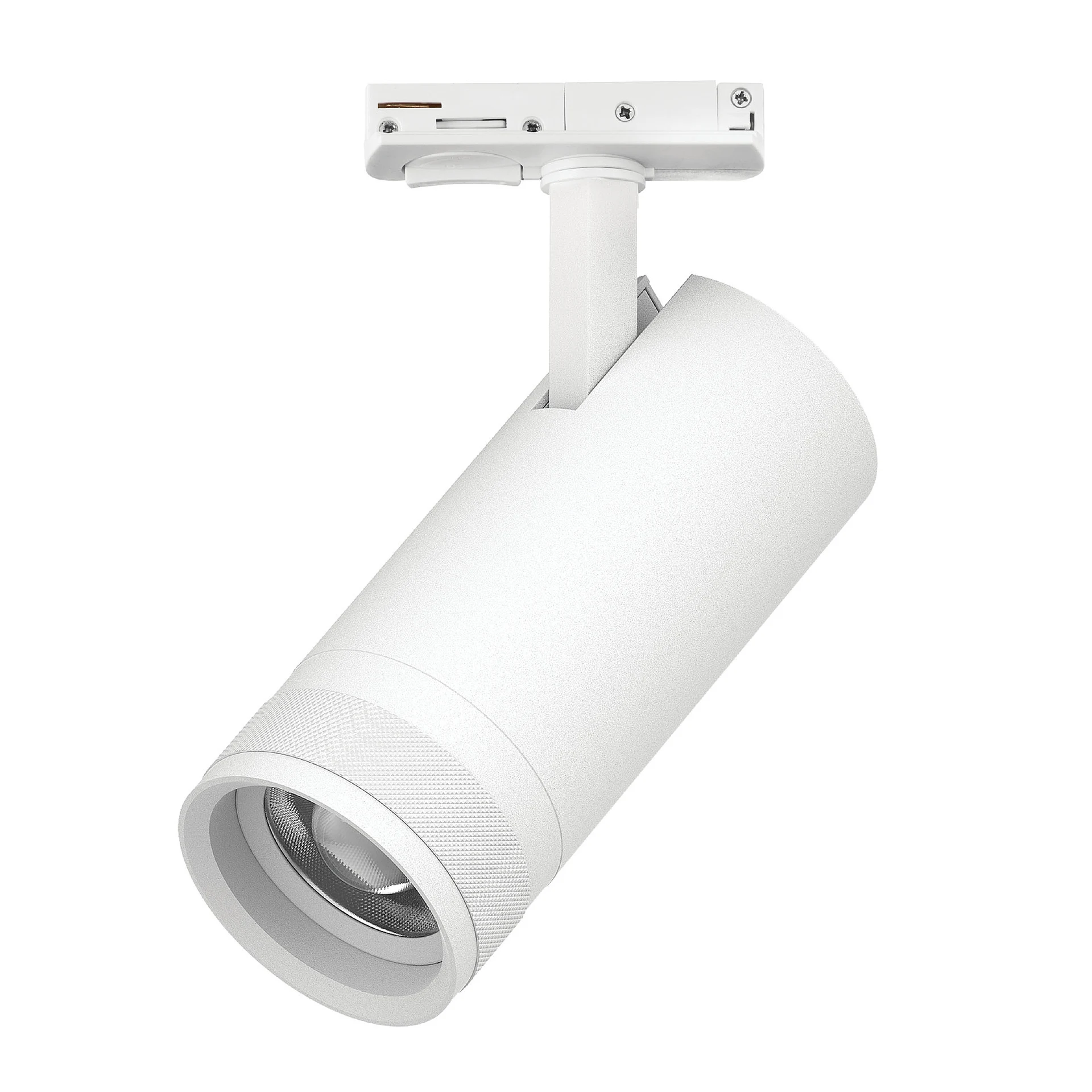Трековый светильник Lightstar Canno Pro C4206SS