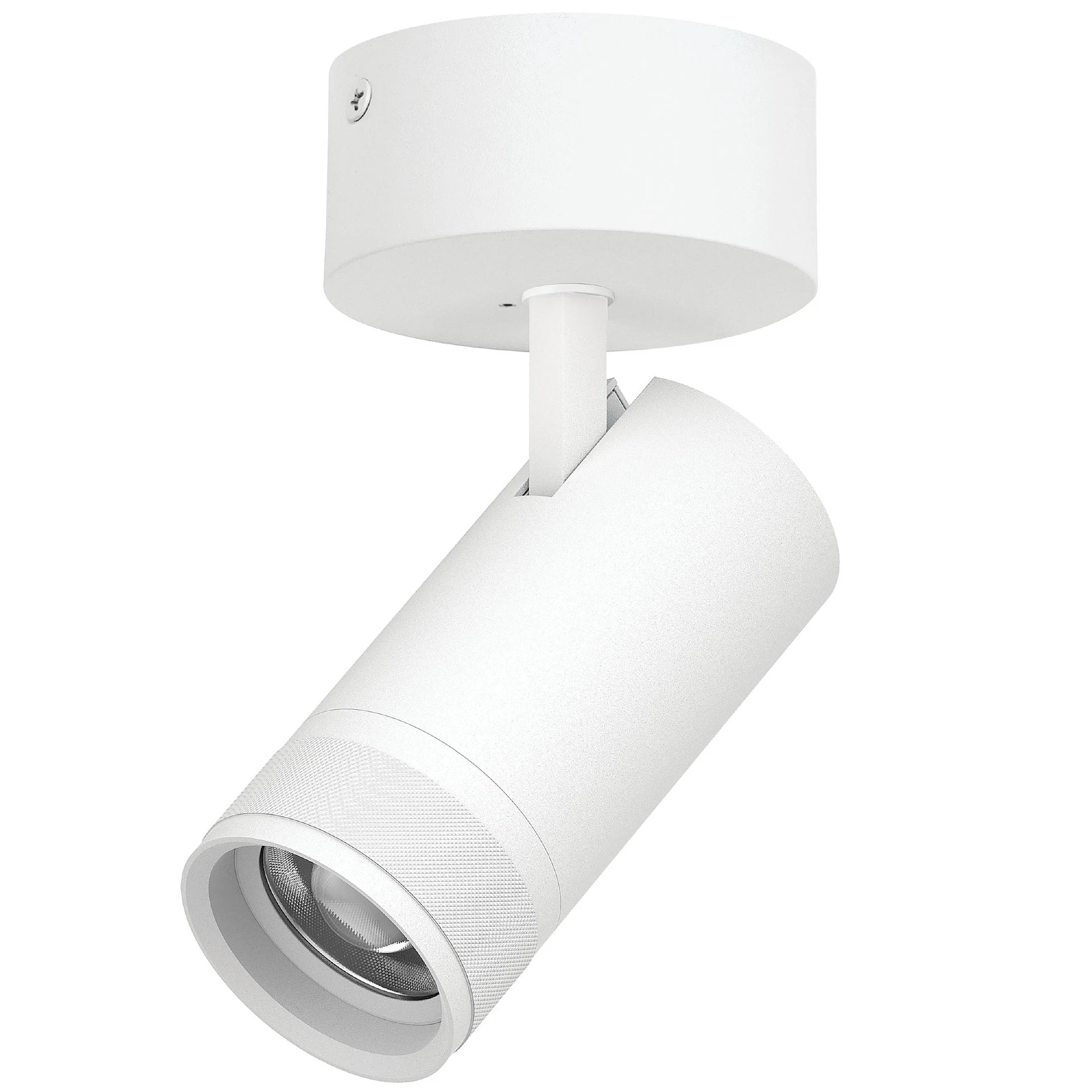 Светильник спот Lightstar Canno Pro C4306SO