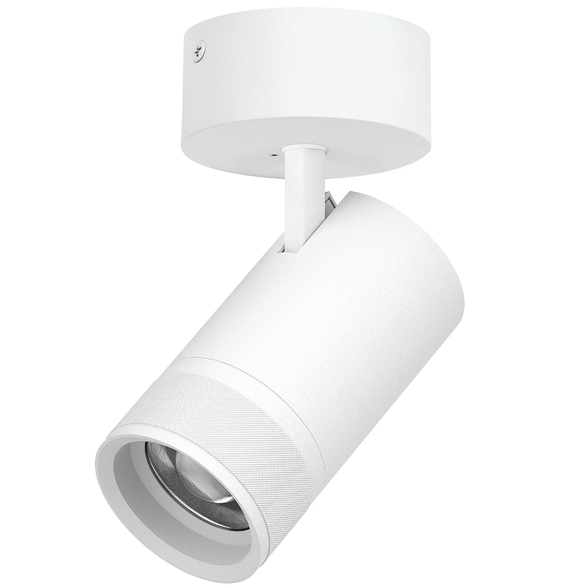 Светильник спот Lightstar Canno Pro C4406SO