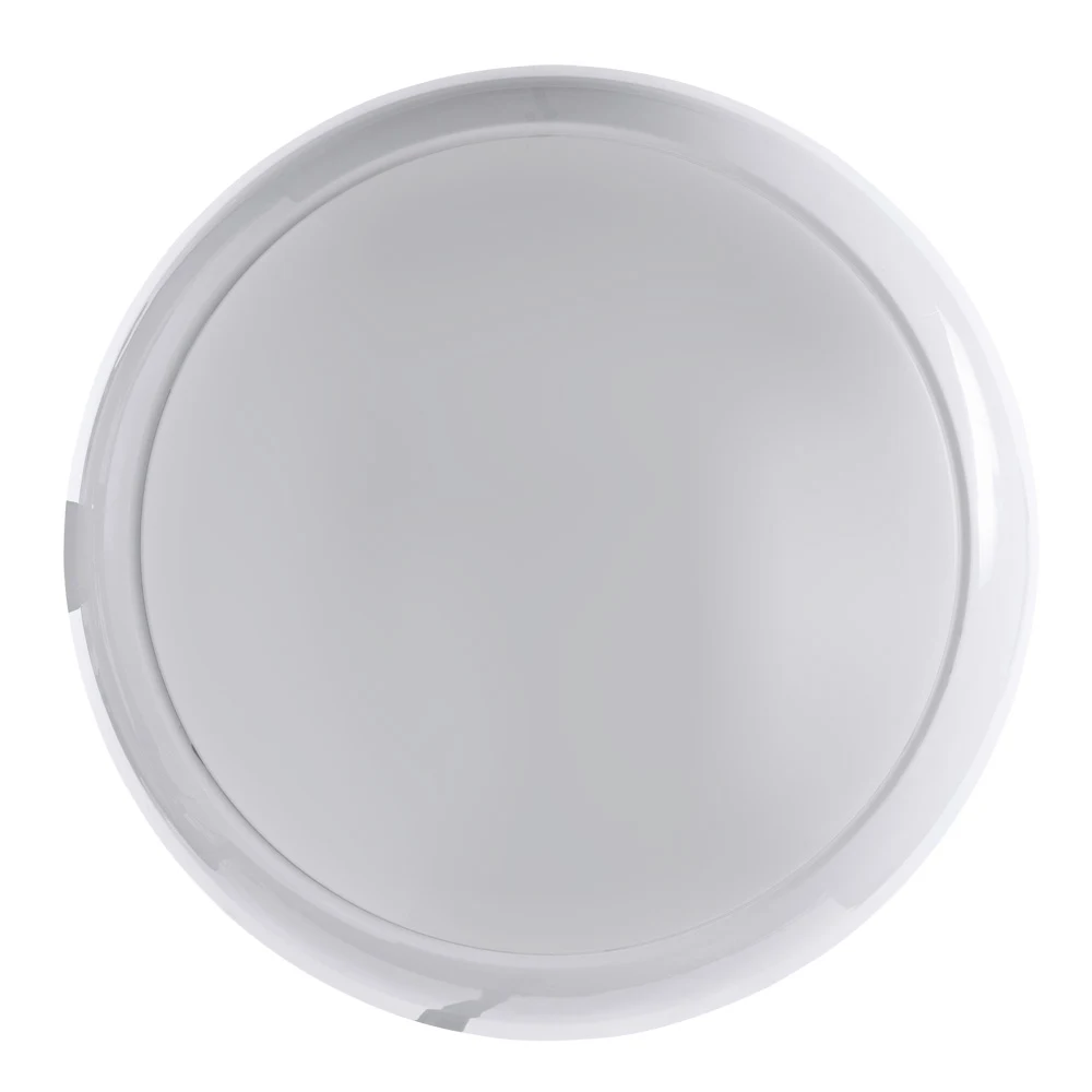 Настенно потолочный светильник Arte Lamp PORCH A4520PF-1WH