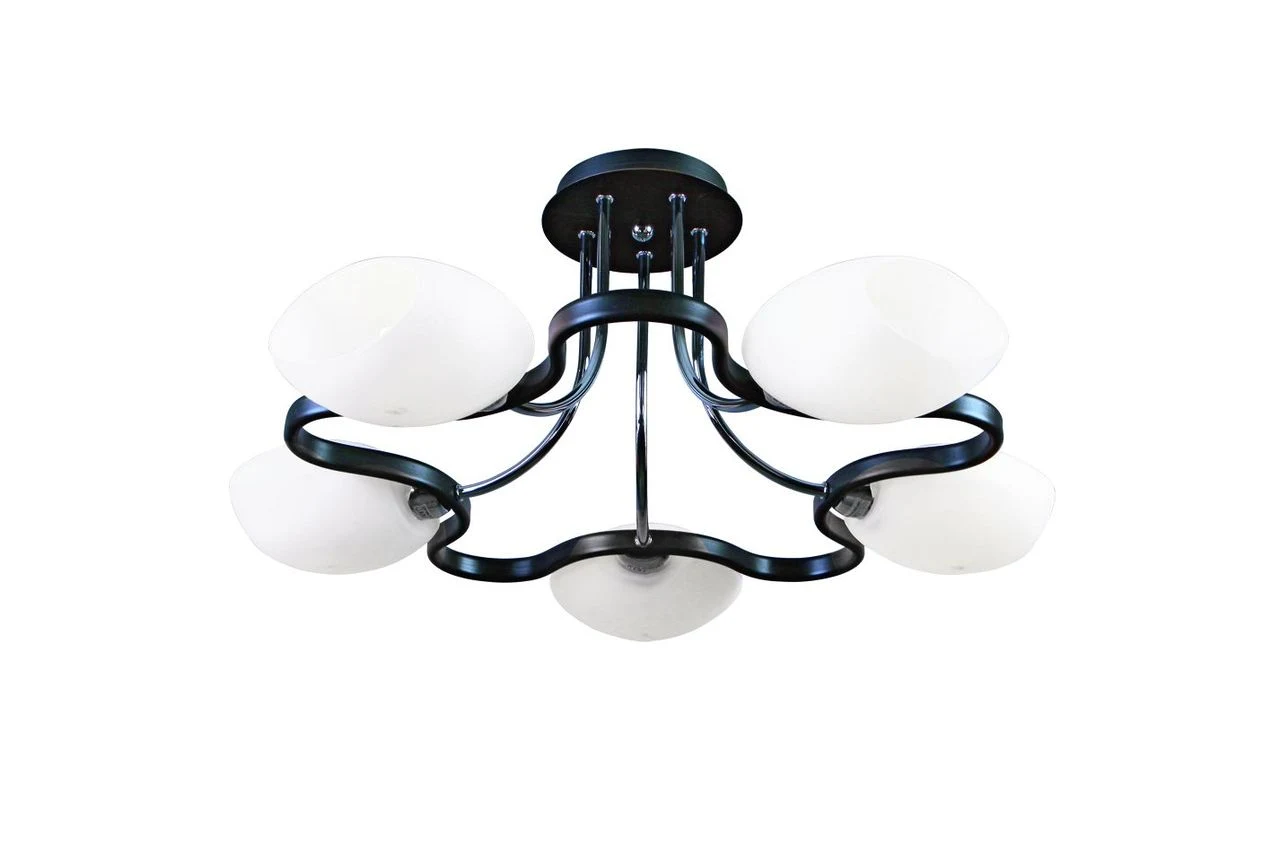 Потолочная люстра Omnilux Verona OML-26907-05
