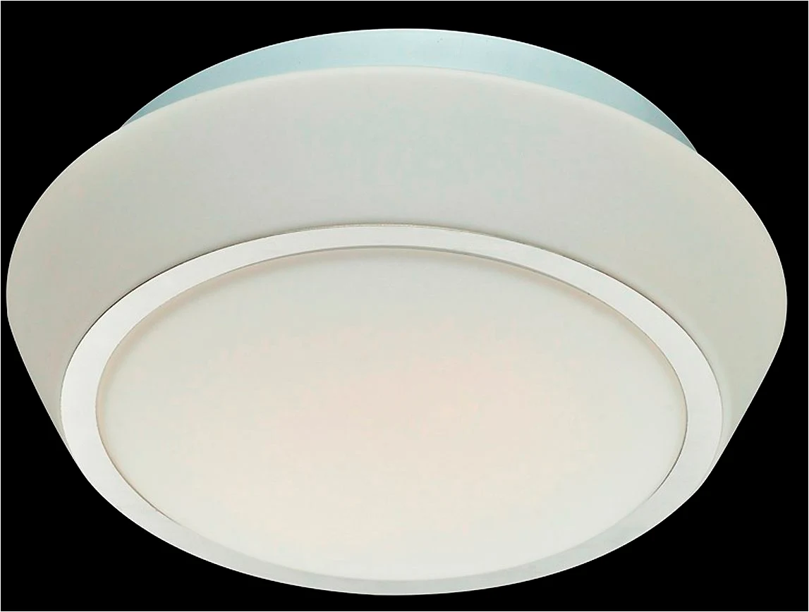 Светильник для ванной ST Luce SL496.502.02