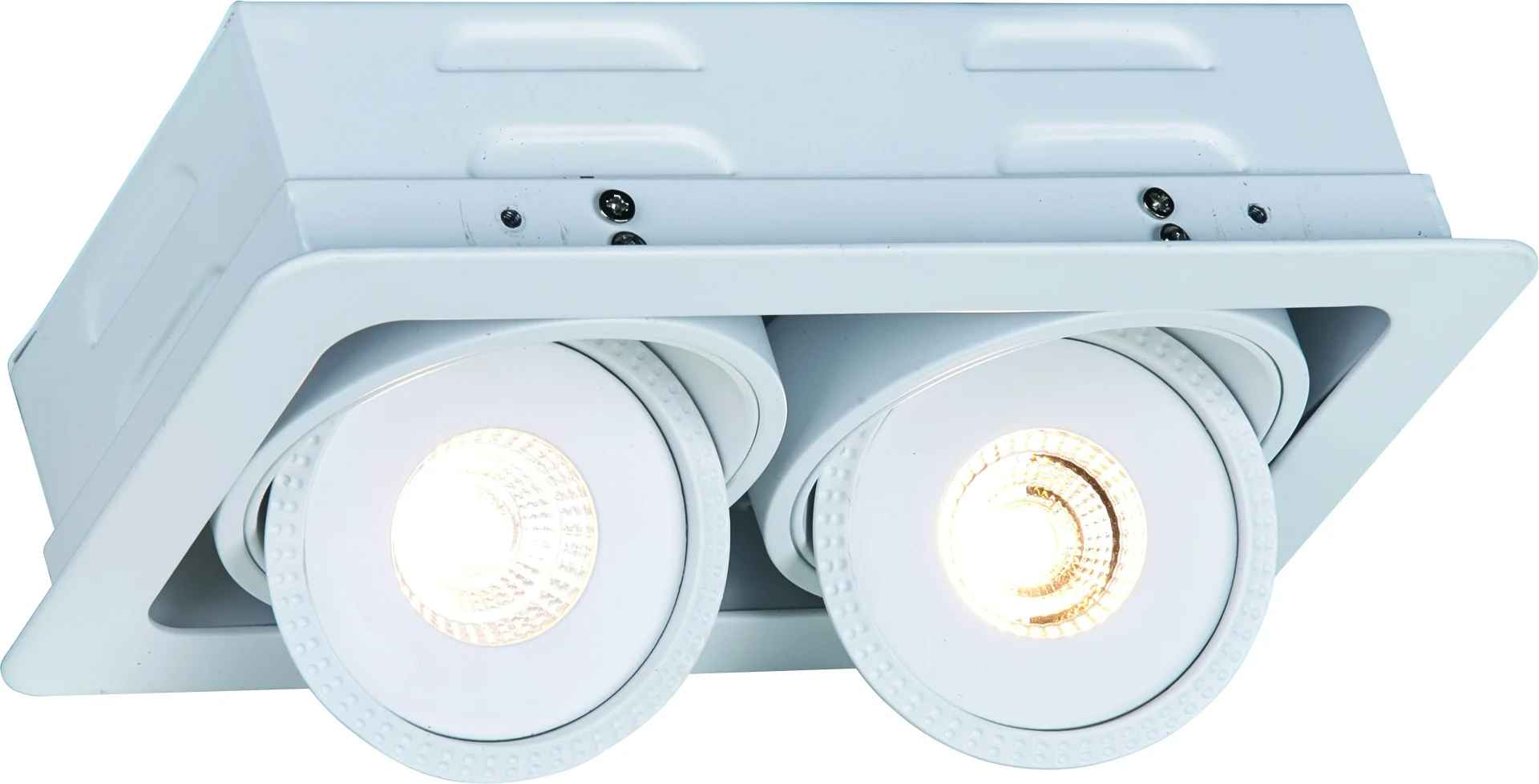 Встраиваемый светильник Arte Lamp A3007PL-2WH