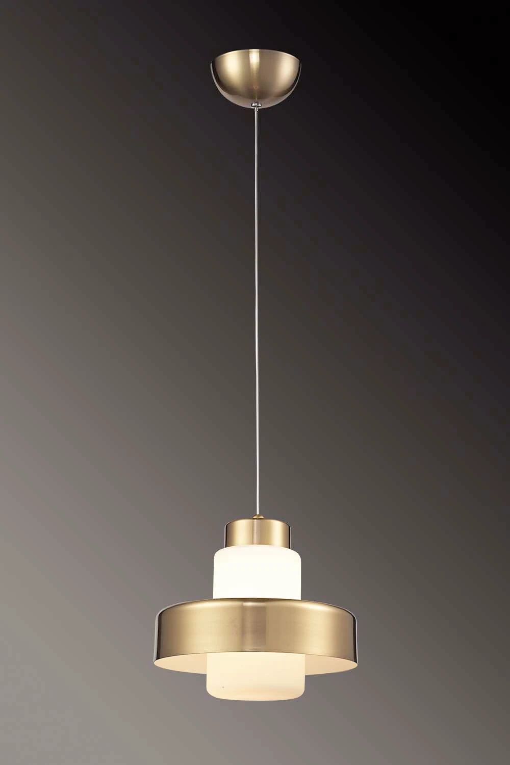 Светильник подвесной ST Luce SL345.033.01