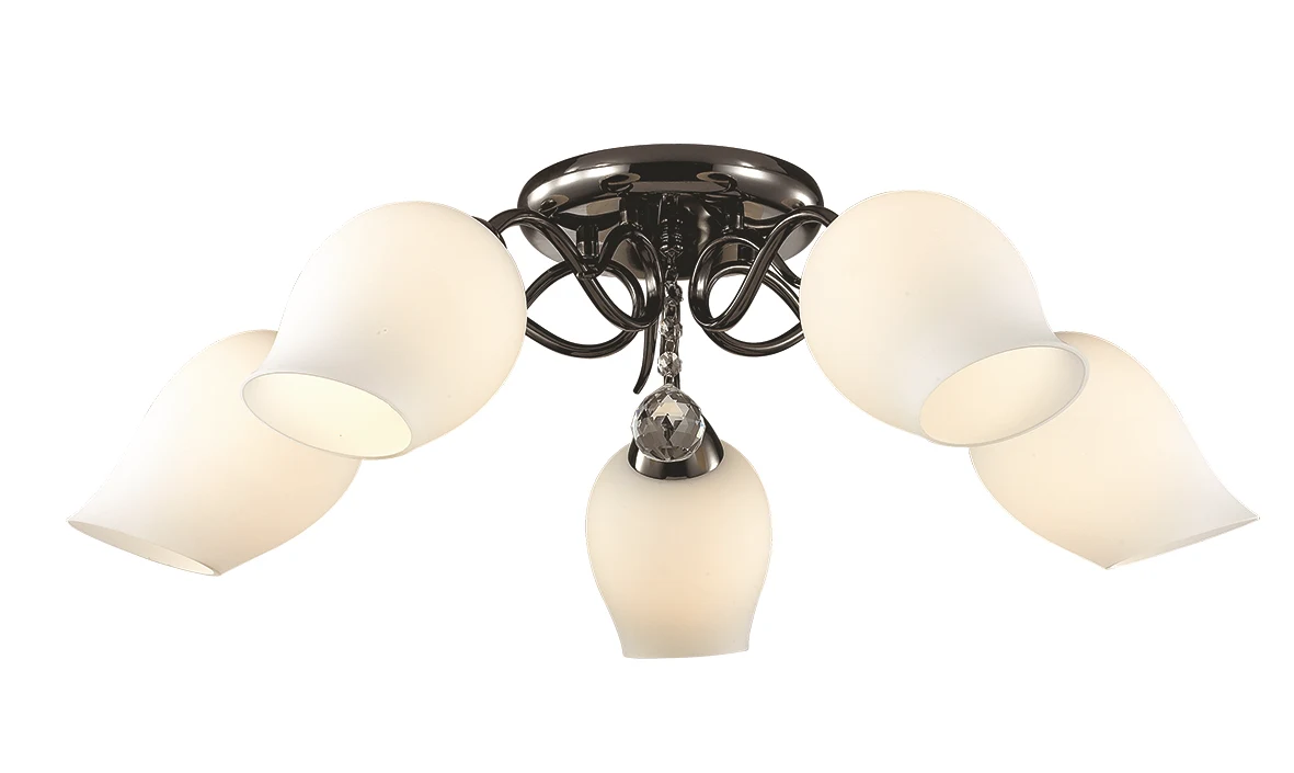 Потолочная люстра Lumion Rondina 3076/5C