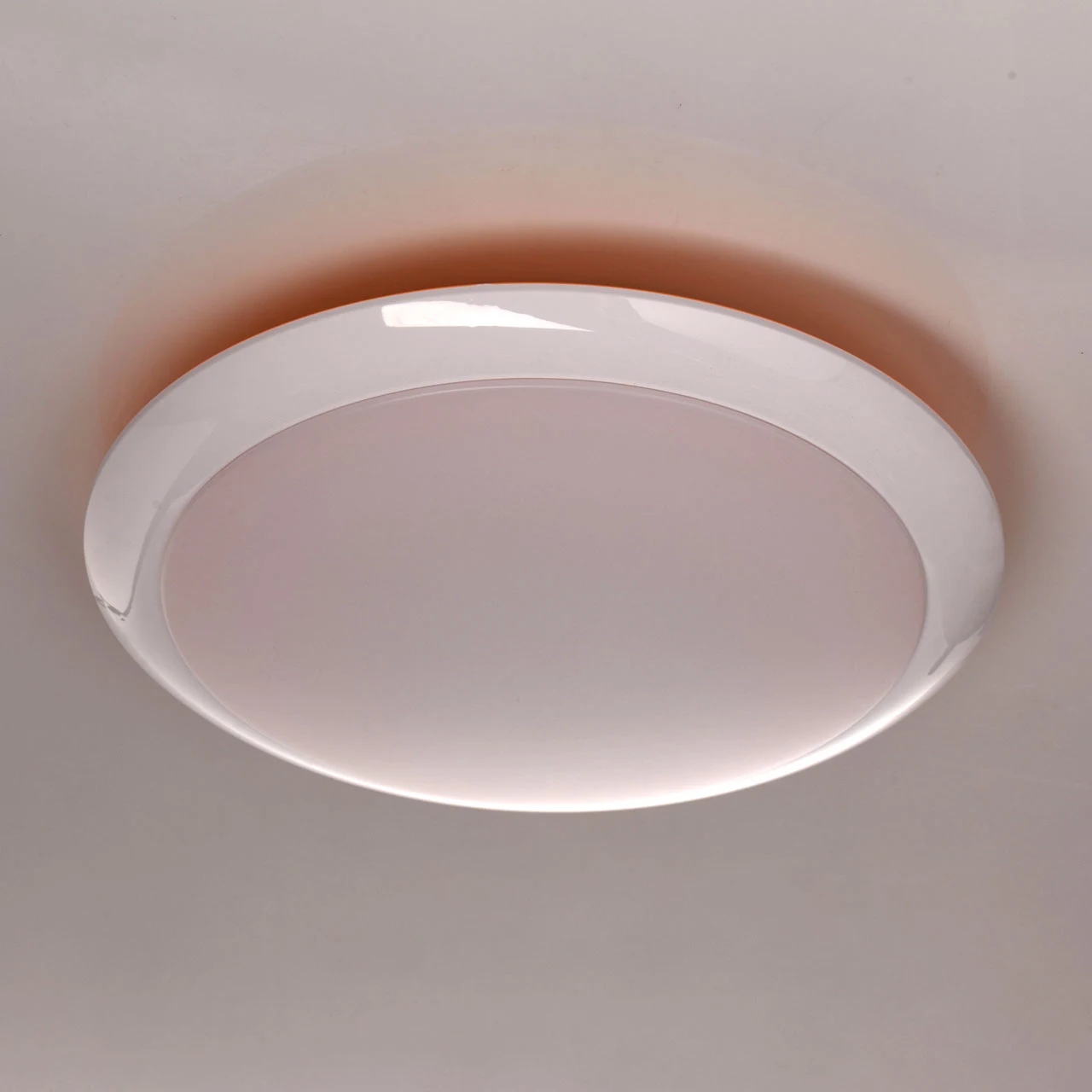 Потолочный светодиодный светильник MW Light Ривз 674014101