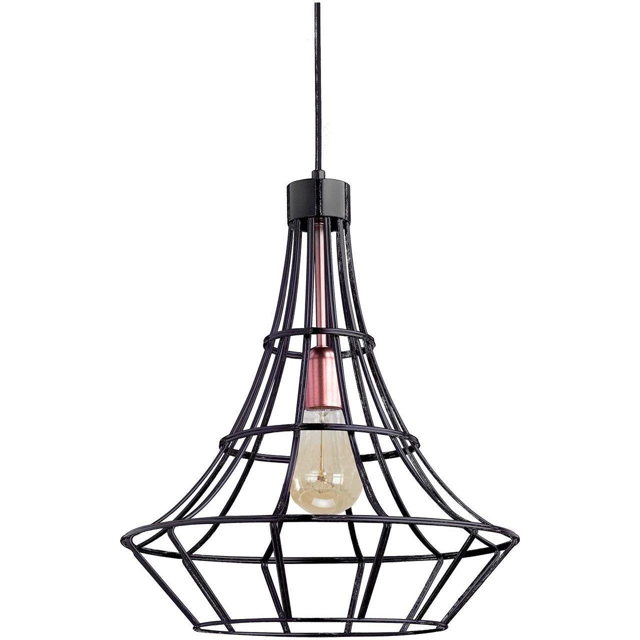 Светильник подвесной Spot Light Riana Black 1030194