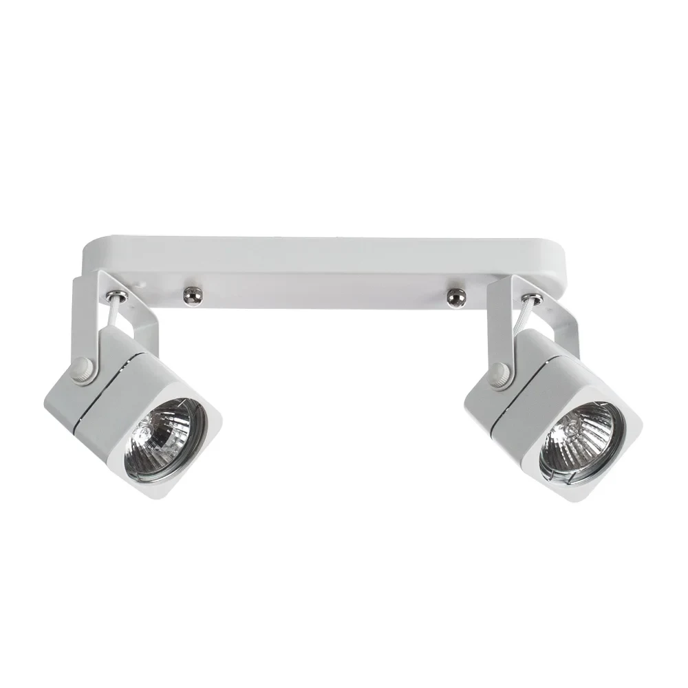 Светильник спот Arte Lamp Lente A1314PL-2WH