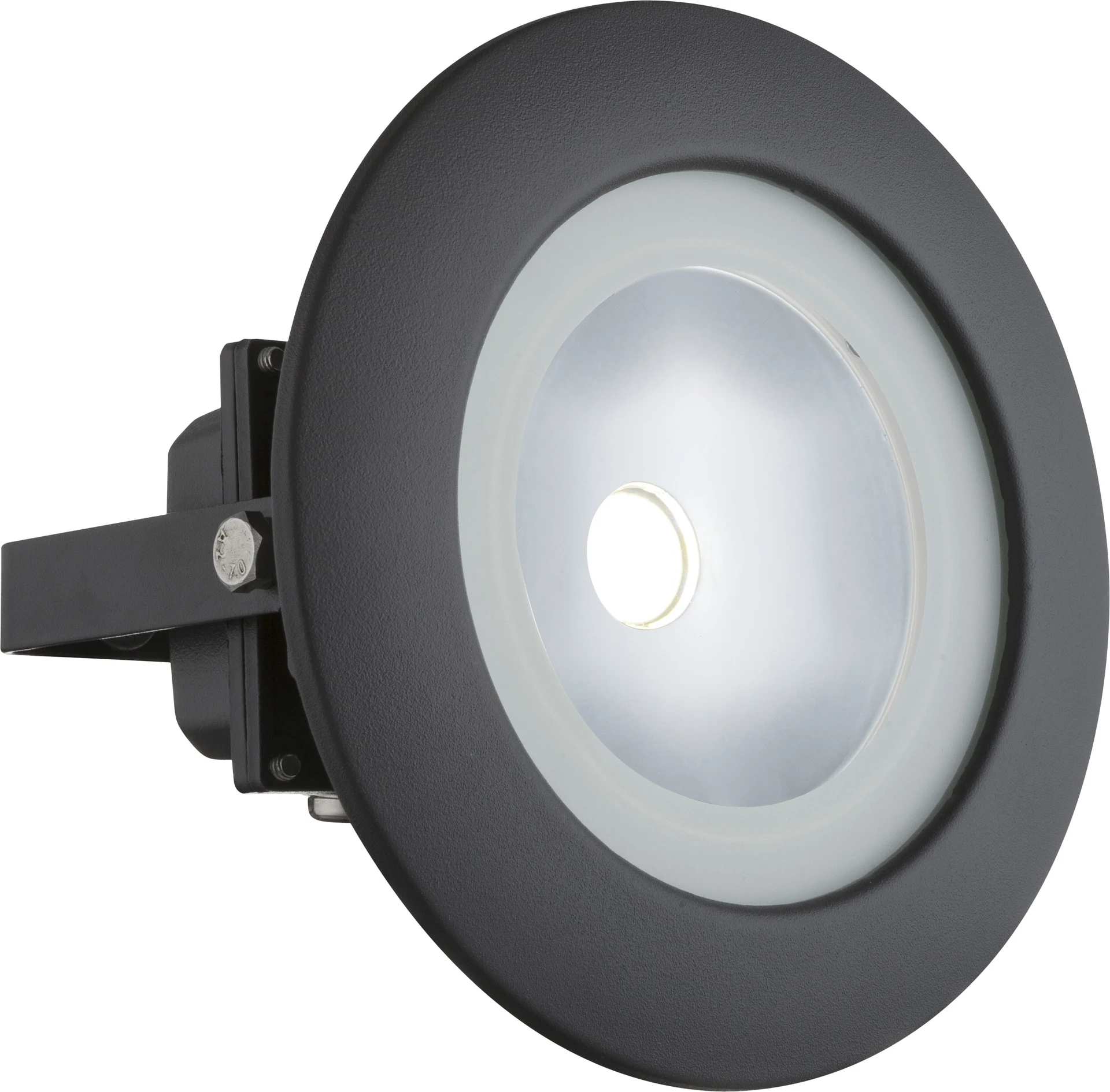 Прожектор уличный Globo Radiator Iii 34138